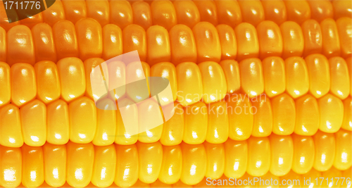 Image of Sweet corn background