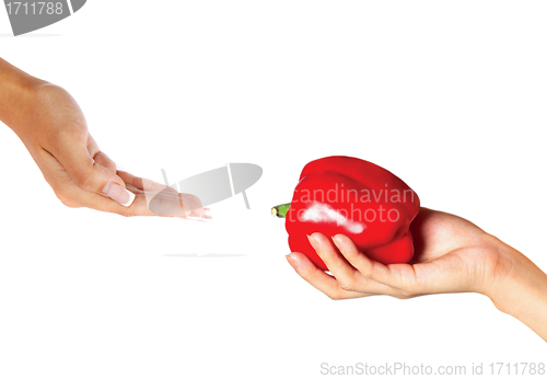 Image of Large red bell pepper in  hand