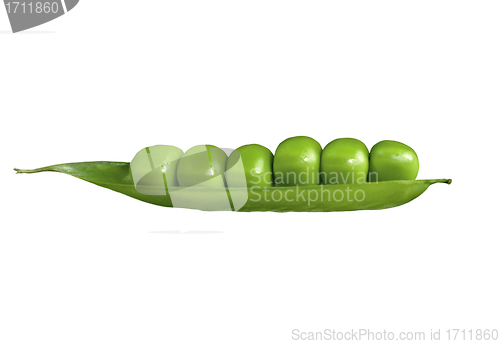 Image of fresh green peas isolated on a white background