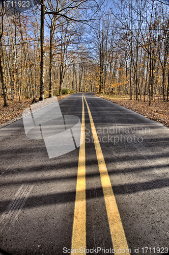 Image of Autumn Leaves