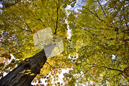 Image of Potawatomi State Park