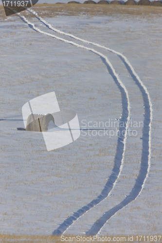Image of Hay Bale and tractor tracks