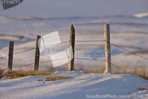 Image of Prairie Fence in Winter