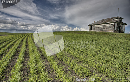 Image of Abandoned Farm