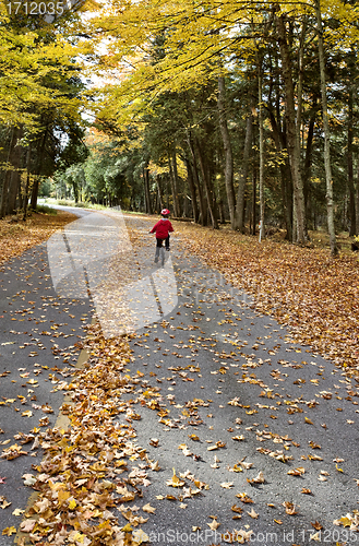 Image of Autumn Leaves