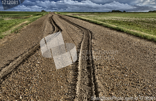 Image of Mud Tire Tracks