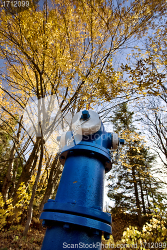 Image of Fire Hydrant Blue