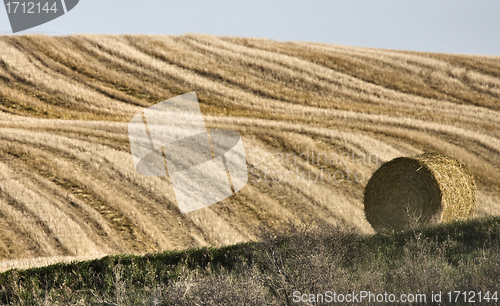 Image of Hay Bale 