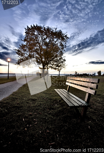 Image of Bench and Street Light