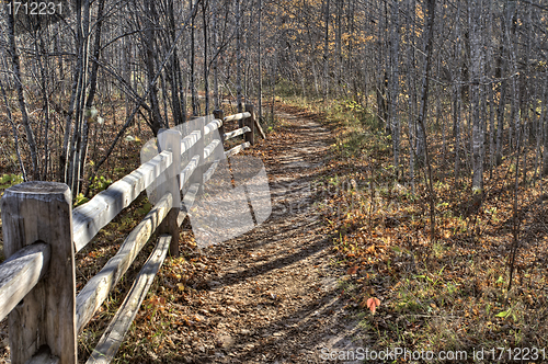 Image of Log Rolling Area Grand Sable Dunes 