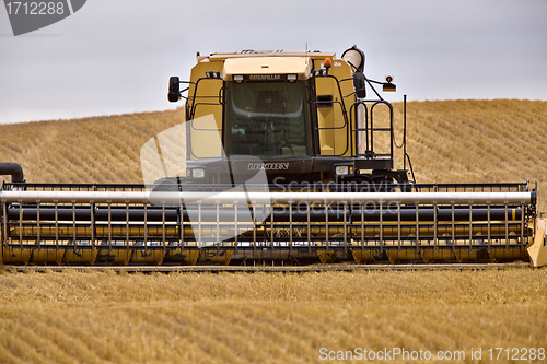 Image of Combine Harvest