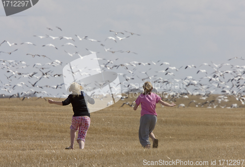 Image of Girls in Field 