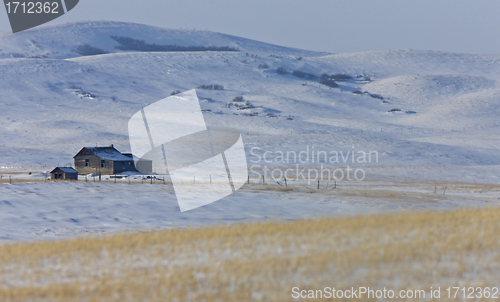 Image of Old Homestead winter