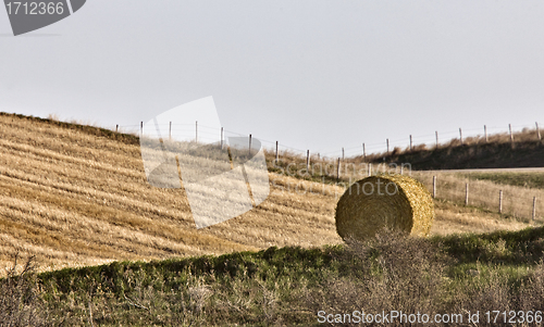 Image of Hay Bale 