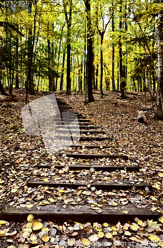 Image of Wooden Stairs