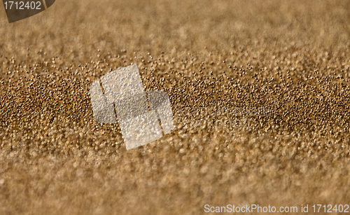 Image of Ripe Flax
