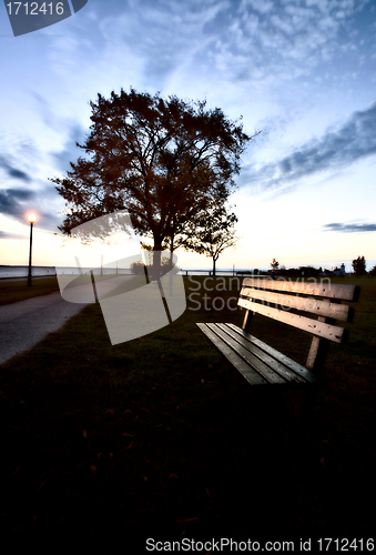 Image of Bench and Street Light