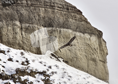 Image of Saskatchewan Badlands