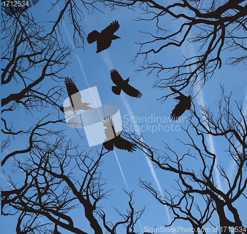 Image of Trees and crows flying in the sky