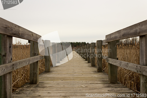 Image of Boardwalk over a marsh
