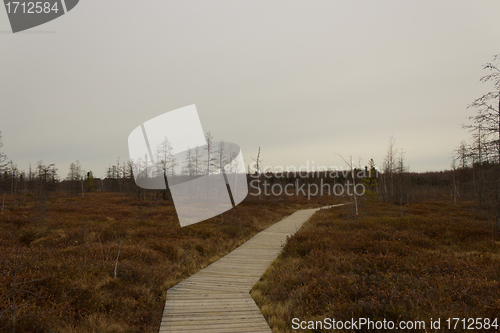 Image of A boardwalk over a peat moss conservation area.