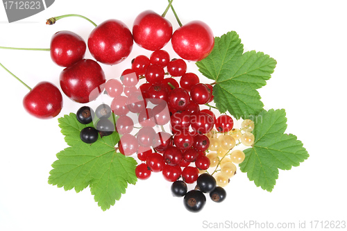 Image of Fruits