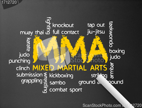 Image of Mixed Martial Arts