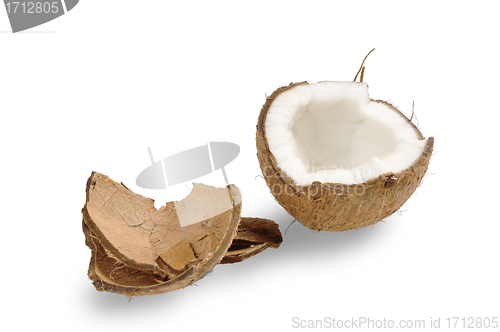 Image of Fresh coconut and coconut shells