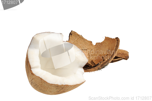 Image of Fresh coconut and coconut shells