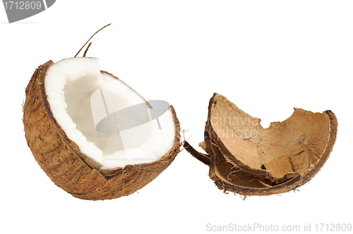 Image of Fresh coconut and coconut shells