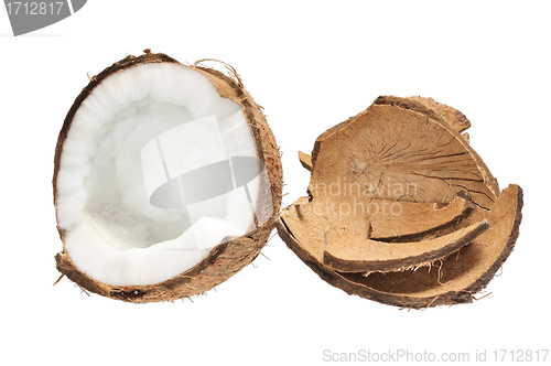 Image of Fresh coconut and coconut shells