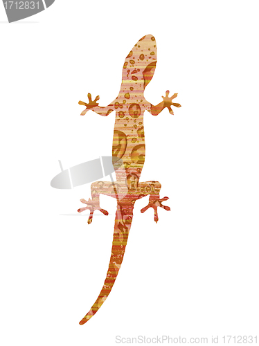 Image of Gecko on white