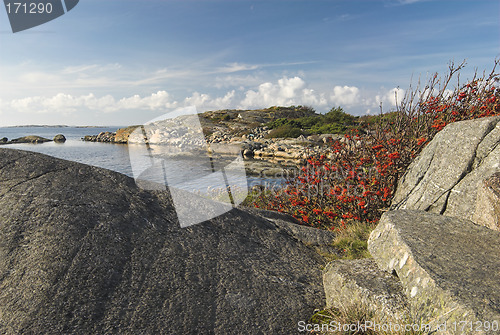 Image of West coast autumn