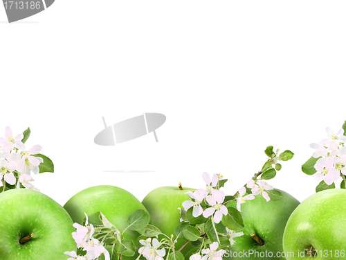 Image of Background with green apples and flowers