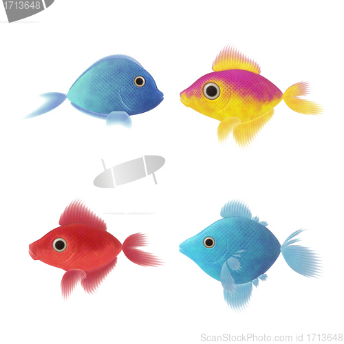Image of four fish illustrations