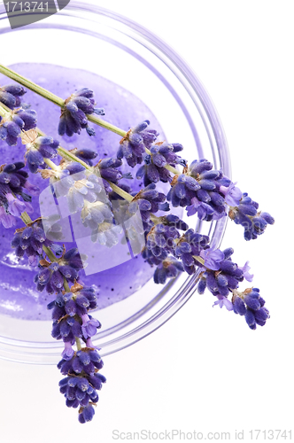 Image of Lavender Spa 