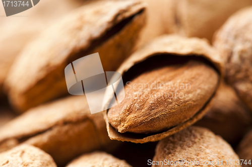 Image of Sweet almonds with kernel 