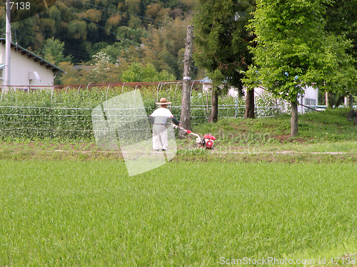 Image of Farmer