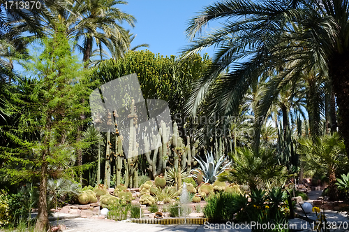 Image of Huerto del Cura garden