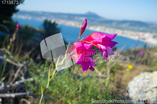 Image of Mediterranean spring