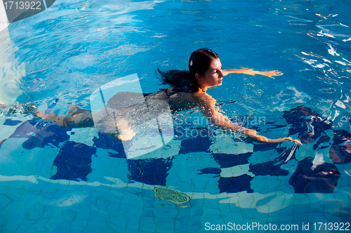 Image of Attractive girl in swimming pool