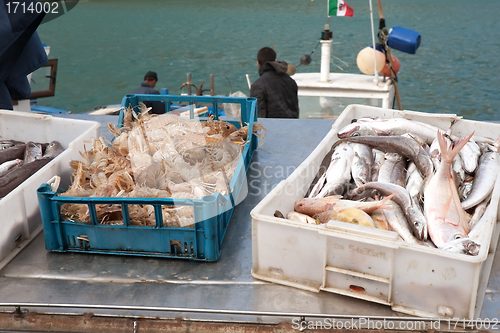 Image of morning sea haul