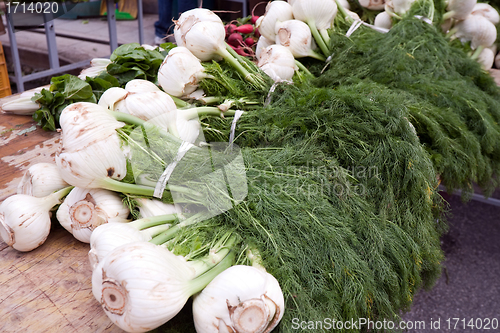 Image of fennel