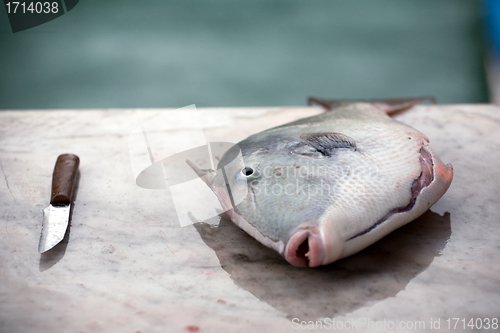 Image of fish and a knife