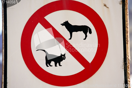 Image of "cats and dogs forbidden" road sign
