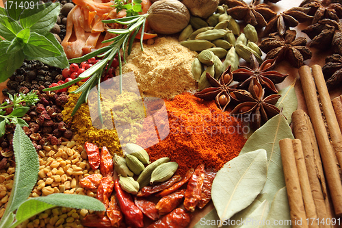 Image of Herbs and spices