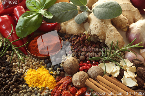 Image of Spices and herbs