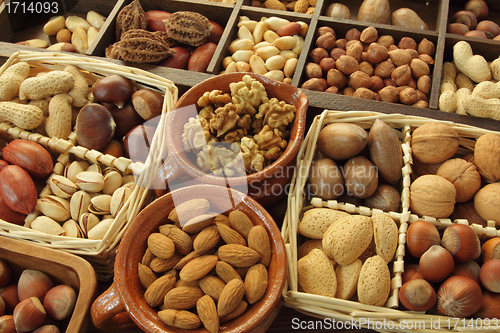 Image of Nut types