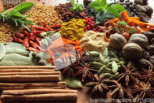 Image of Herbs and spices.