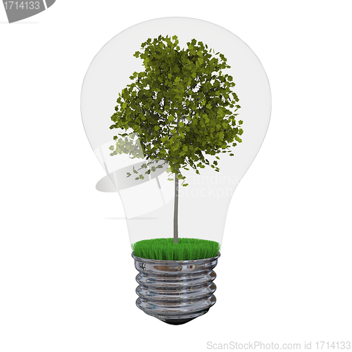 Image of Tree inside lightbulb